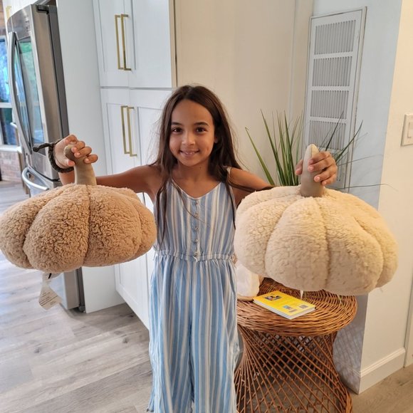 Warm and Cozy NWOT tan and cream plush pumpkin set pillow plush - Picture 2 of 9